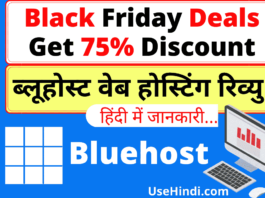 Black Friday Bluehost hosting deal