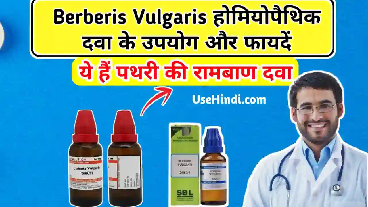 berberis vulgaris uses in Hindi