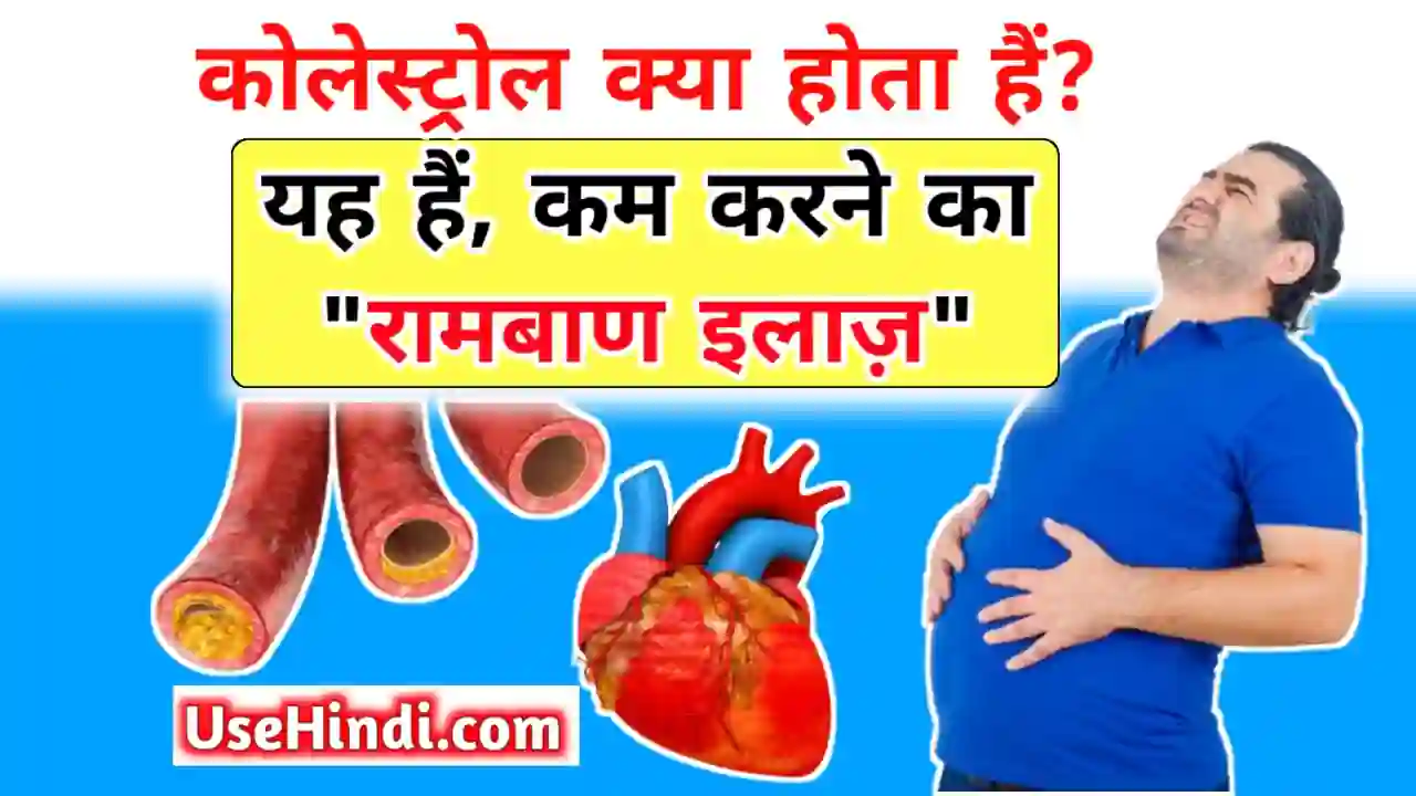 cholesterol in hindi